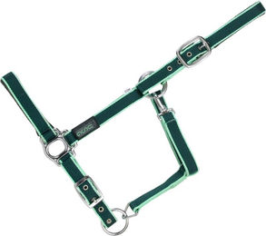 Produktbild von USG Halfter Classic mit silberfarbenen Beschlägen, soft unterlegt