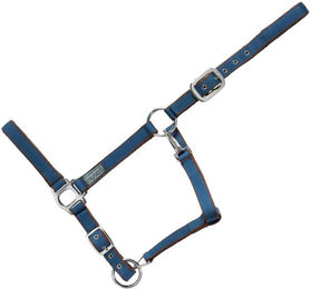 Produktbild von USG Halfter Classic mit silberfarbenen Beschlägen, soft unterlegt, Petrol/Braun, Pony