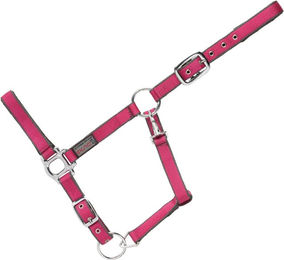 Produktbild von USG Halfter Classic soft unterlegt Fuchsia/Grau Pony