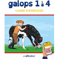 Produktbild von Übungsbuch Galopp 1 bis 4 mit Videos von Bluzelle