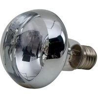 Produktbild von Ukal Infrarotlampe aus Glas für Hühner und Schweine in Grau-Silber