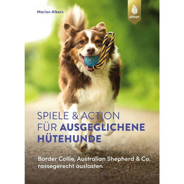 Ulmer Spiele und Action zur Auslastung von Hütehunden wie Border Collie und Australian Shepherd – Bild 1 von 3