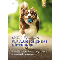 Produktbild von Ulmer Spiele und Action zur Auslastung von Hütehunden wie Border Collie und Australian Shepherd