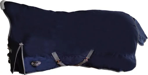 Umbria Equitazione Armadale Outdoor-Pferdedecke Blau 300g – Bild 1 von 1