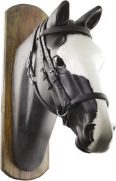 Produktbild von Umbria Equitazione Biothane Pferdezaumzeug Schwarz für Ponys