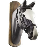 Produktbild von Umbria Equitazione Biothane Pferdezaumzeug Schwarz für Ponys
