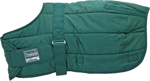 Produktbild von Umbria Equitazione Fleece Decke für Fohlen in Blau oder Grün