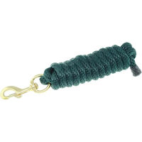 Produktbild von Umbria Equitazione Flexible Nylon Reitlonge in Grün