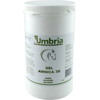 Produktbild von Umbria Equitazione Massagegel mit Arnica zur Wundpflege für Pferde 1000 ml