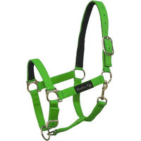 Produktbild von Umbria Equitazione Nylonhalfter für Pferde mit Lederverstärkung in Grün