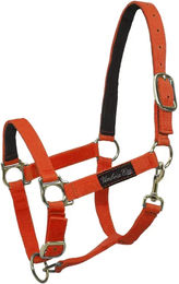 Produktbild von Umbria Equitazione Nylonhalfter für Pferde mit Lederverstärkung in Orange