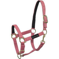 Produktbild von Umbria Equitazione Nylonhalfter für Pferde mit Lederverstärkung in Rosa für Warmblut