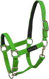 Produktbild von Umbria Equitazione Nylonhalfter für Ponys mit Lederverstärkung in Grün