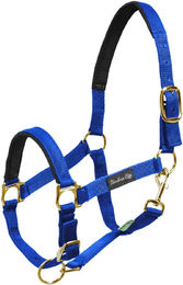 Produktbild von Umbria Equitazione Nylonhalfter mit Neoprenverstärkung für Pferde in Blau