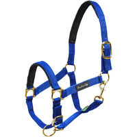 Produktbild von Umbria Equitazione Nylonhalfter mit Neoprenverstärkung für Pferde in Blau
