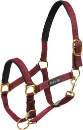 Produktbild von Umbria Equitazione Nylonhalfter mit Neoprenverstärkung für Pferde in Braun