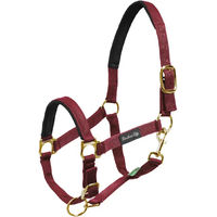 Produktbild von Umbria Equitazione Nylonhalfter mit Neoprenverstärkung für Pferde in Braun