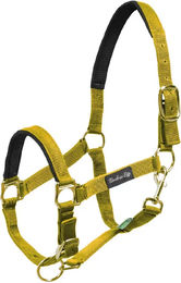 Produktbild von Umbria Equitazione Nylonhalfter mit Neoprenverstärkung für Pferde in Gelb