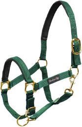 Produktbild von Umbria Equitazione Nylonhalfter mit Neoprenverstärkung für Pferde in Grün