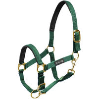 Produktbild von Umbria Equitazione Nylonhalfter mit Neoprenverstärkung für Pferde in Grün