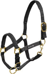 Produktbild von Umbria Equitazione Nylonhalfter mit Neoprenverstärkung für Pferde in Schwarz