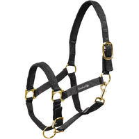 Produktbild von Umbria Equitazione Nylonhalfter mit Neoprenverstärkung für Pferde in Schwarz