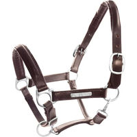 Produktbild von Umbria Equitazione Pferdehalfter aus doppelt genähtem Leder mit Messingbeschlägen in Braun