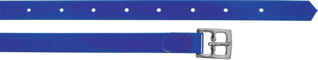 Produktbild von Umbria Equitazione Sattelstraps aus Biothane in Blau