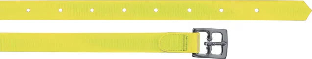 Produktbild von Umbria Equitazione Sattelstraps aus Biothane in Gelb