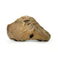 Produktbild von Unbehandelte Kork-Deko Kauwurzel aus Baumheide für Hunde Größe L