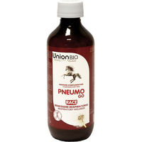Produktbild von Union B.I.O. Pneumo Go Bio zur Unterstützung der Atemwege 250g