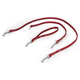 Produktbild von Universal Hundeleine Barcelona aus Bio-Leder in Rot, 235 cm / 14 mm