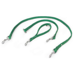 Produktbild von Universal Hundeleine Toronto Leaf Green aus Leder 235 cm x 14 mm