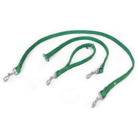 Produktbild von Universal Hundeleine Toronto Leaf Green aus Leder 235 cm x 14 mm