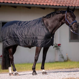 Unterziehdecke Liner Noorvik Pro II für Busse Schwarz 125 cm aus Polyester – Bild 1 von 1