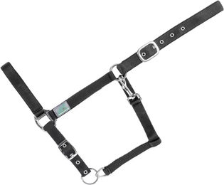 Produktbild von USG Basic Gepolstertes Halfter für Ponys aus Nylon in Schwarz-Silber
