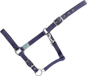 USG Basic Gepolstertes Nylon Halfter für Ponys in Schwarz Blau Silber – Bild 1 von 1