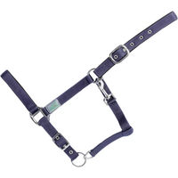 Produktbild von USG Basic Gepolstertes Nylon Halfter für Ponys in Schwarz Blau Silber