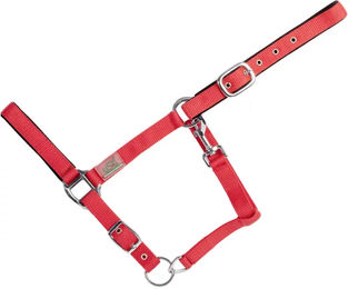 Produktbild von USG Basic Gepolstertes Nylon Halfter für Ponys in Schwarz Silber Rot
