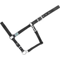 Produktbild von USG Basic Gepolstertes Pferdehalfter aus Nylon in Schwarz-Silber
