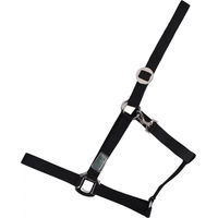 Produktbild von USG Basic Pferdehalfter aus Nylon in Schwarz