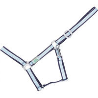 Produktbild von USG Basic Pferdehalfter für Ponys aus Nylon in Blau Bunt