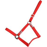 Produktbild von USG Basic Pferdehalfter für Ponys in Rot