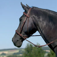 Produktbild von USG Connection Gebisslose Trense aus Leder für Ponys in Schwarz oder Braun