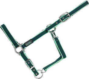 USG Everyday Gepolstertes Halfter für Ponys aus Nylon – Bild 1 von 3