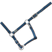 Produktbild von USG Everyday Gepolstertes Nylon Halfter für Ponys in Blau oder Braun