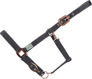 Produktbild von USG Everyday Gepolstertes Nylon Halfter für Ponys in Schwarz oder Rosa