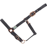 Produktbild von USG Everyday Gepolstertes Nylon Halfter für Ponys in Schwarz oder Rosa