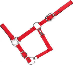 Produktbild von USG Everyday Gepolstertes Pferdehalfter aus Nylon in Rot Größe XFull