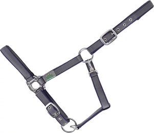 Produktbild von USG Everyday Gepolstertes Pferdehalfter für Ponys aus Polyester in Blau